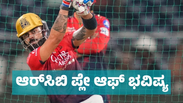 IPL 2025 Playoffs Know Presently RCB s position and Orange Cap And Purple Cap Standings