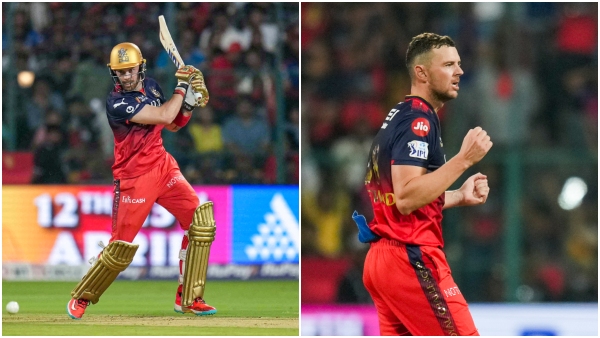 rcb vs lsg ipl 2025 dinesh karthik about phil salt josh hazlewood fitness