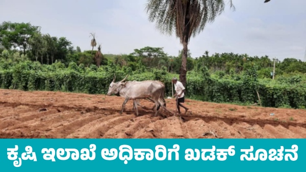 Farmers ready for sowing in Davanagere district Important notice to Agriculture Dept officials