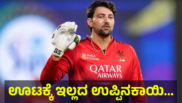 RCB Fans Are Saying This About Tim David Now