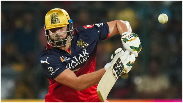 rcb fans worry about tim david after lost against srh ipl 2025