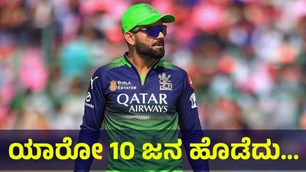 Virat Kohli Fans Are Saying This After RCB Entering The Finals Of IPL 2025