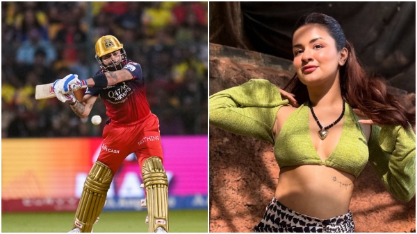 Virat Kohli Accidental Like Boosts Avneet Kaur Earnings and Influence