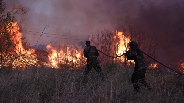 Wildfires Prompt National Emergency in Israel And Explore The Present Situation