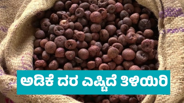 Arecanut Price details in Davanagere market on June 3