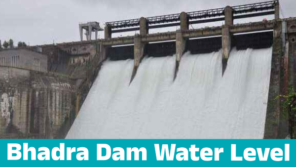 Bhadra Dam water level on june 10 know details