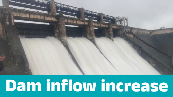 Bhadra Dam inflow increase on june 17 know details