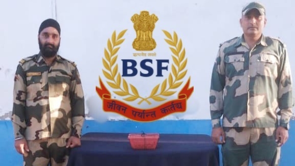 BSF Troops Rescue Endangered Tokay Gecko Near Indo-Bangladesh Border BSF Troops Rescue Endangered Tokay Gecko Near Indo-Bangladesh Border
