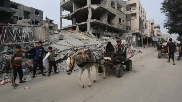 Allegedly 81 Casualties Reported From Israeli Strikes In Gaza Amid Ongoing Conflict