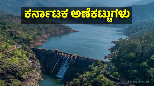 Karnataka Dam Water Storage on June 11 Inflow Raised in Kabini KRS and Harangi Dam