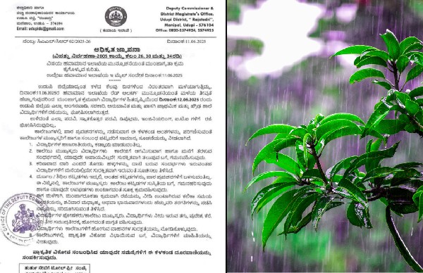 School Holidays Heavy rain in the state Holiday for schools and colleges in this district on June 12th