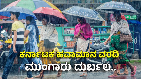 Karnataka Heavy Rain Alert for These 6 District for next 4 Days IMD Issues Yellow Alert