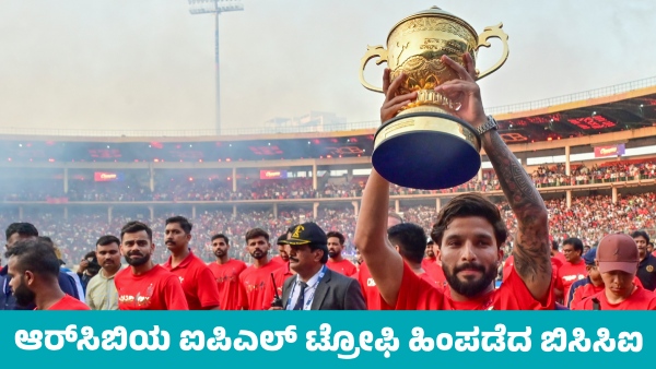 BCCI Takes Back RCB s IPL 2025 Trophy