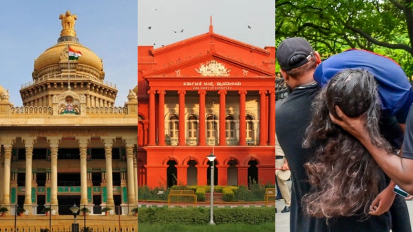 Karnataka HC Hears IPL Stampede Case Government Blames BCCI RCB for Unsanctioned Celebrations