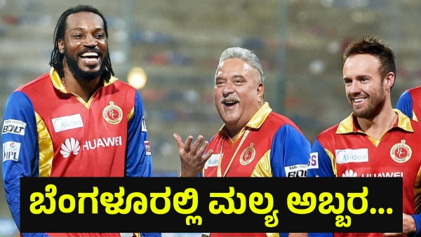 Vijay Mallya Name Entered While RCB Fans Are Celebrating The Victory After IPL 2025 Final