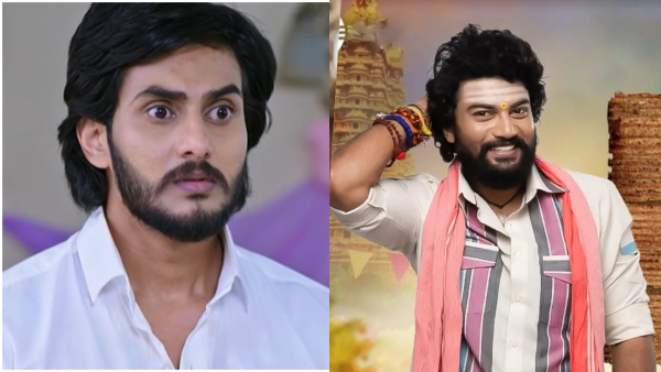 Annayya Serial It s Time For Everyone To Know About Pinky Seena Love Story