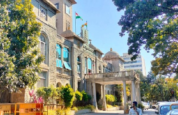 BBMP says it will be easier to catch stray dogs if they are fed non-veg