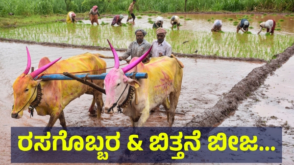 This Is What Bengaluru DC Said About Fertilizer and Seeds