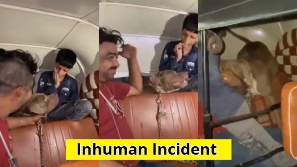 Video Viral of Dog Owner Laughing After Pitbull Pet Bites A Boy in Auto Goes viral