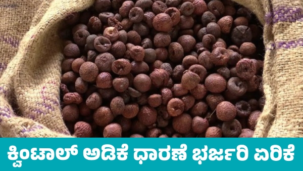 Areca Nut Prices Likely to Cross 85 000 per Quintal in few days