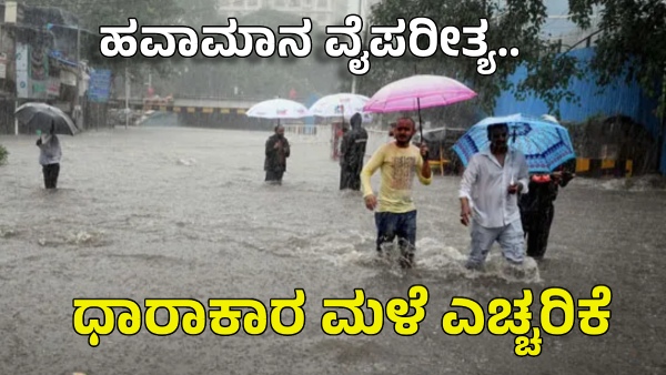 IMD Predication Heavy Rain Alert Many North Parts of India Due to Cyclonic Circulation