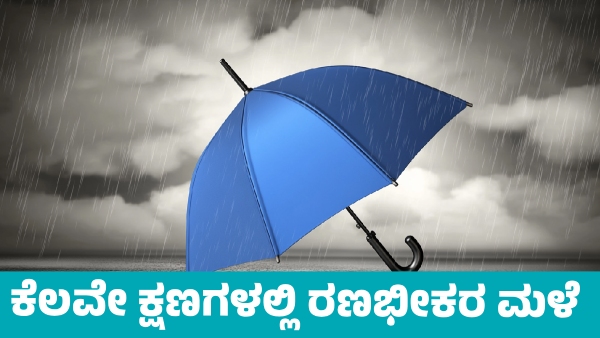 IMD Weather Forecast Heavy Rain Alert in These states in Few Moments Holiday Declared