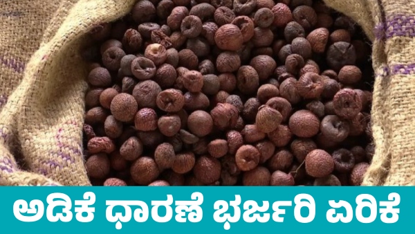 Arecanut Price Rises to 60 399 per Quintal on September 16