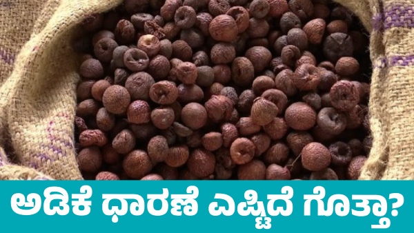 Arecanut price increased on September 9 in Davanagere district Know details