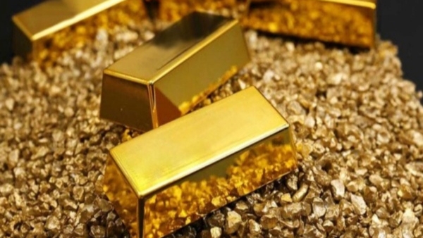 Bengaluru firm gets licence to hunt gold in 10 000 acres of Chikkamagaluru land Bengaluru firm gets licence to hunt gold in 10 000 acres of Chikkamagaluru land