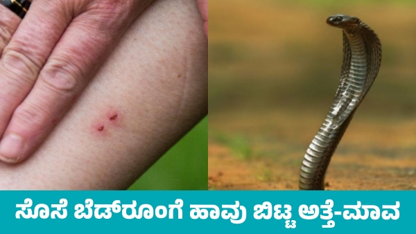 Mother-in-law and Father-in-law Make Daughter-in-law Bitten by Snake for Dowry Mother-in-law and Father-in-law Make Daughter-in-law Bitten by Snake for Dowry