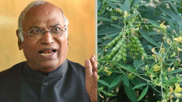 Opposition Leaders Slams AICC Mallikarjun Kharge Over Remarks to Tur Farmers