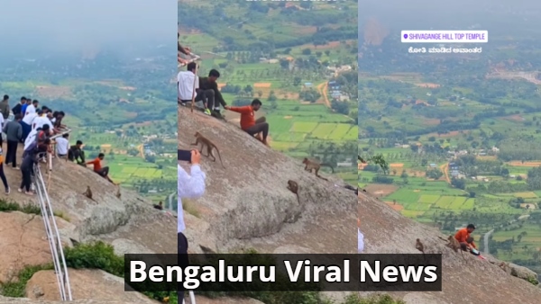 Viral Video Monkey Snatches Bag from Tourist at Shivagange Hill Spark Debate on Safety Viral Video Monkey Snatches Bag from Tourist at Shivagange Hill Spark Debate on Safety