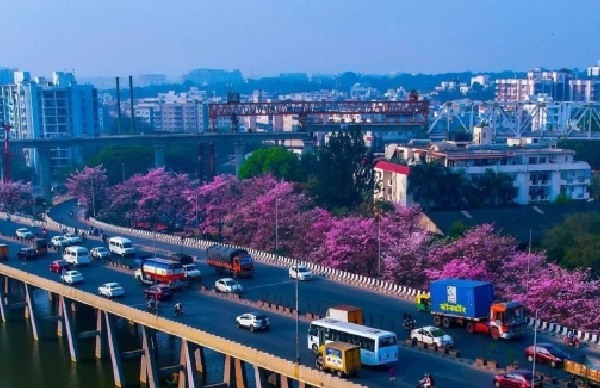 Bengaluru Loses Out as Google Chooses Visakhapatnam for AI Hub