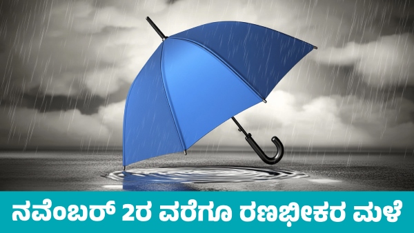 IMD Weather Forecast Heavy Rain for Next 2 days In These States from October 31