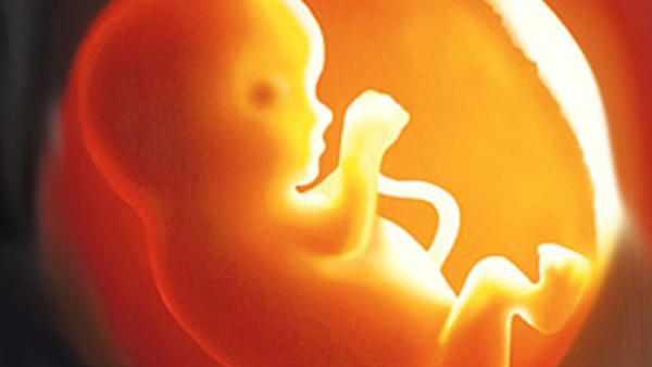 Foetus Gender Determination Racket Busted In Mysuru Farmhouse