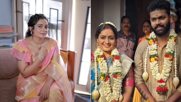 Actress Meera Vasudevan Gets Third Divorce Shocking Marriage Breakup In One Year