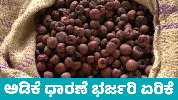 Arecanut Price increased on November 7 Know details