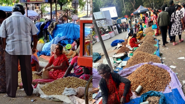 Bengaluru Basavanagudi Kadalekai Parishe 2025 Dates Special Events Highlights