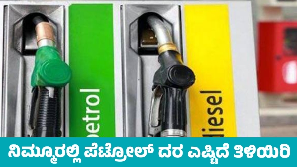 Petrol Price in Karnataka on November 23 Know district wise price details
