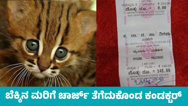 KSRTC Conductor Issues 50 Ticket For kitten on Mysuru Madikeri Bus Photo Viral KSRTC Conductor Issues 50 Ticket For kitten on Mysuru Madikeri Bus Photo Viral