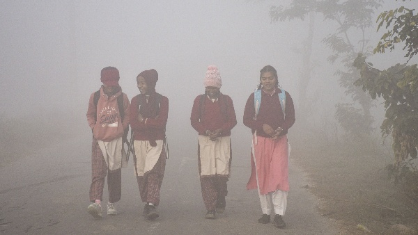 IMD Weather Update Cold Wave Fog Rain Forecast Across Several States IMD Weather Update Cold Wave Fog Rain Forecast Across Several States