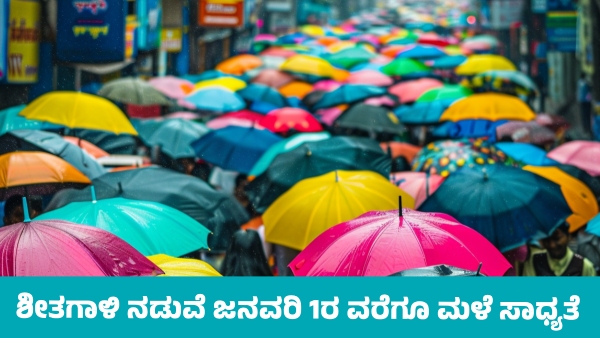 IMD Weather Forecast Dense Fog Cold Wave and Rainfall Likely in Several States Till January 1