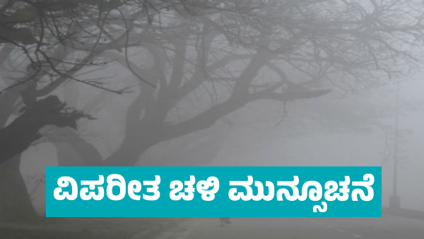 IMD Weather Forecast Severe Cold Wave and Dense Fog Expected in These states for Next Three Days IMD Weather Forecast Severe Cold Wave and Dense Fog Expected in These states for Next Three Days