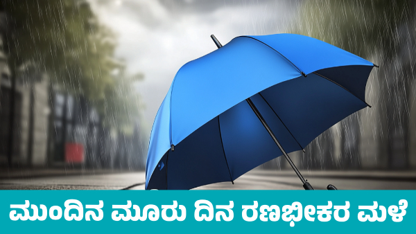 IMD Weather Forecast Heavy Rainfall Forecast In These States for Next 3 Days from December 5