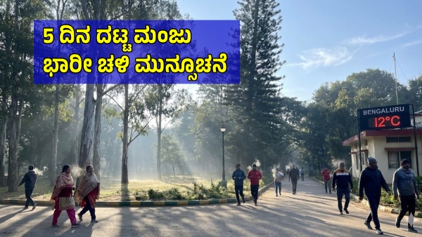 IMD Issues Heavy Cold Wave Alert on Interior Districts of Karnataka for Next One Week