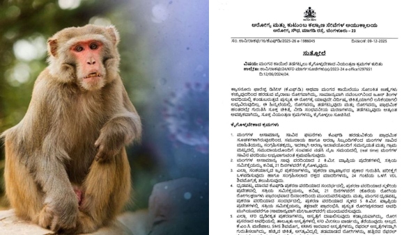 Government issues guidelines for monkey disease control
