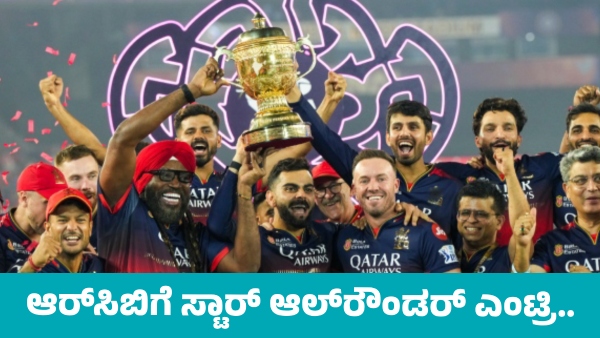 IPL 2026 RCB Targets Star All-Rounder Rachin Ravindra Ahead of Mini Auction IPL 2026 RCB Targets Star All-Rounder Rachin Ravindra Ahead of Mini Auction