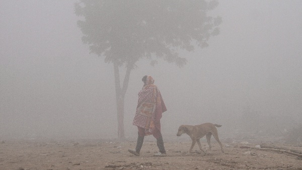 Karnataka Weather Today Intense Cold Wave In Bidar Vijayapura More Districts
