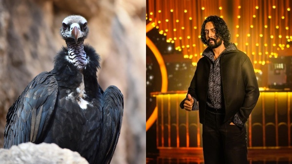 Bigg Boss Kannada Faces Fresh Trouble Ahead of Finale Complaint Filed Against Show and Host