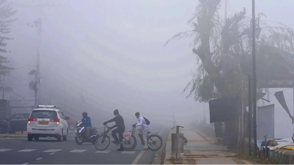 Karnataka Weather How Many More Days Will Cold Persist January 14 Weather Forecast